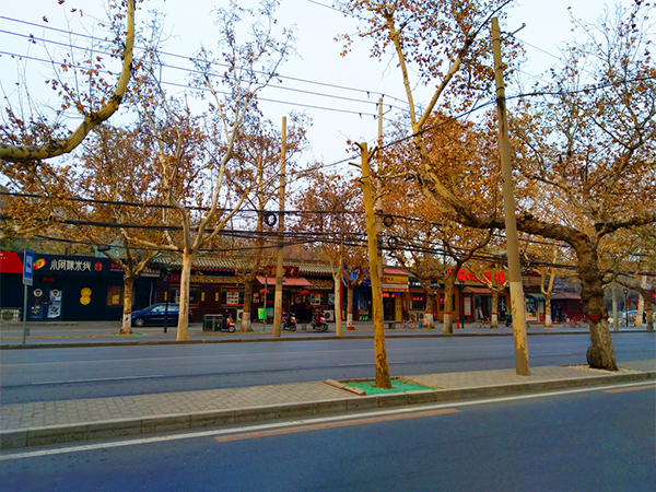 城市街道开云线上平台